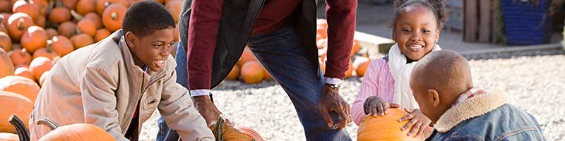 A man and his child enjoying apple picking.